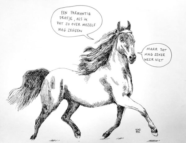 Het Vliksböz Boek + Gesigneerde risoprint Nr. 92 (paard) - Afbeelding 3